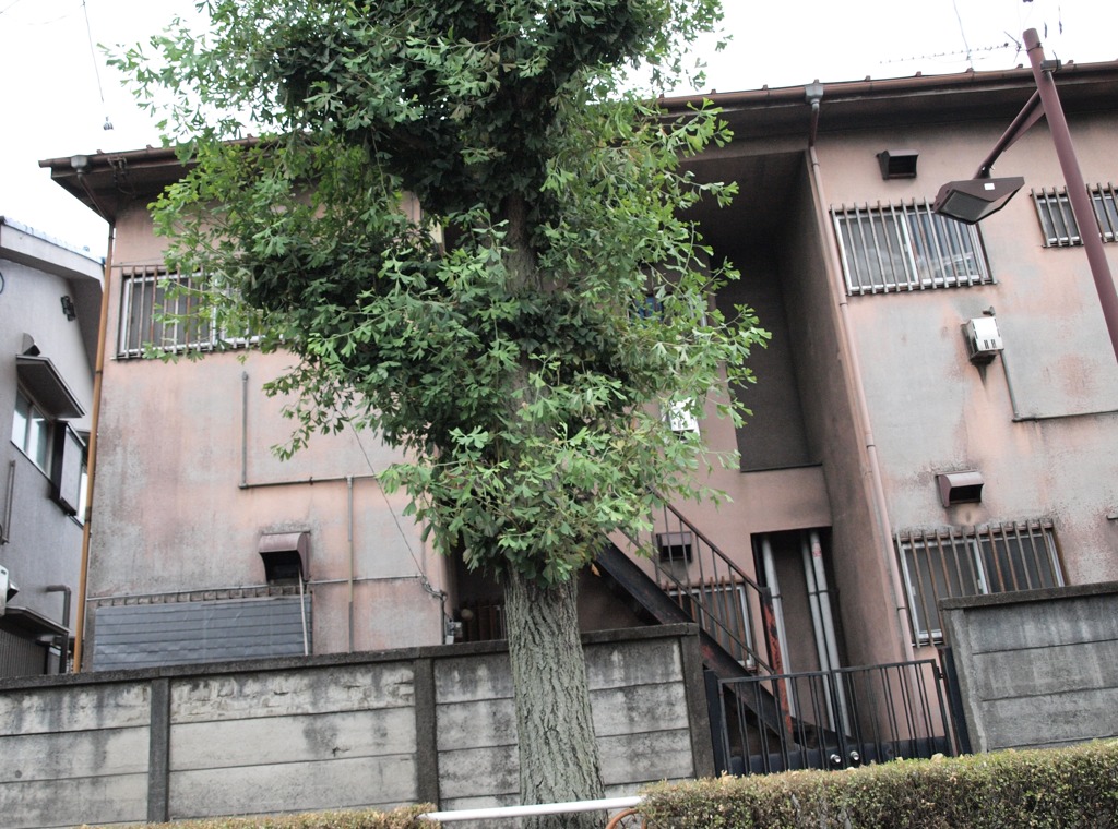 A Fading Faded Apartment