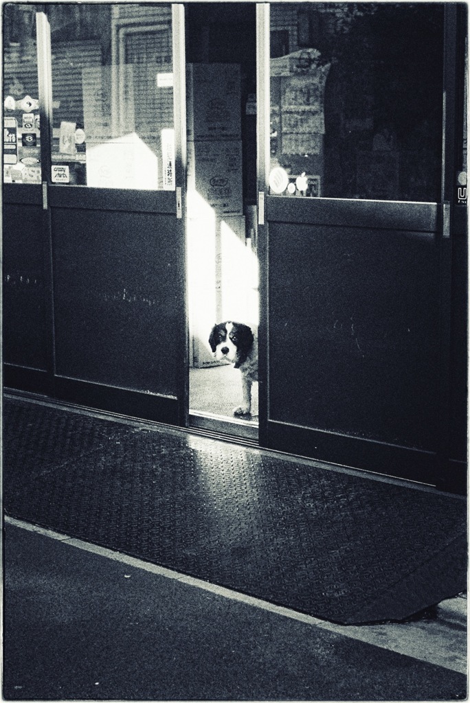 Afternoon #01