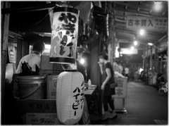 Mizonokuchi at Night #28
