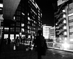 Shinjuku at Night #07 〜親子〜
