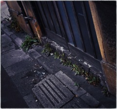 Nakano at Night #17