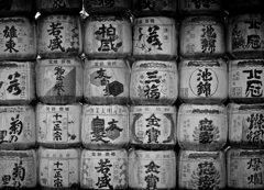 日光 #04