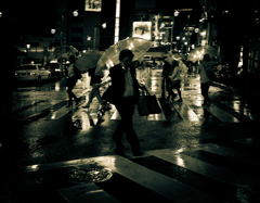 Shinjuku at Night #42