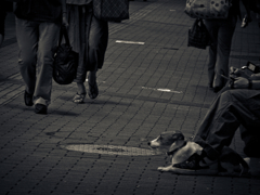 Kichijoji at Night #54