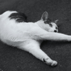 Stretchin'