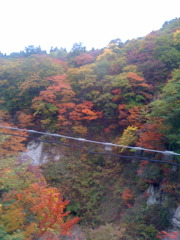 仙山線からみた紅葉