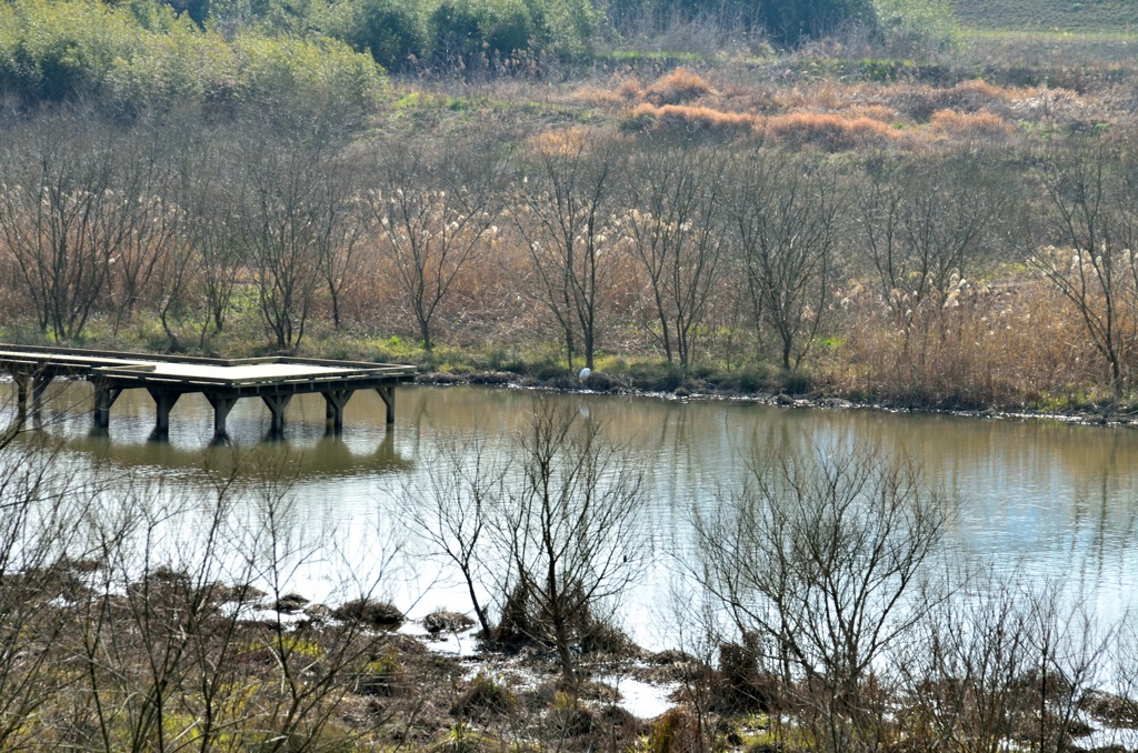 アザメの瀬