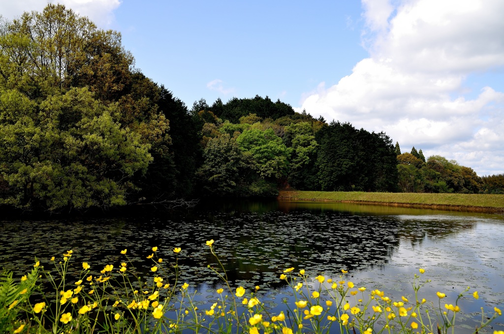 名もなき風景