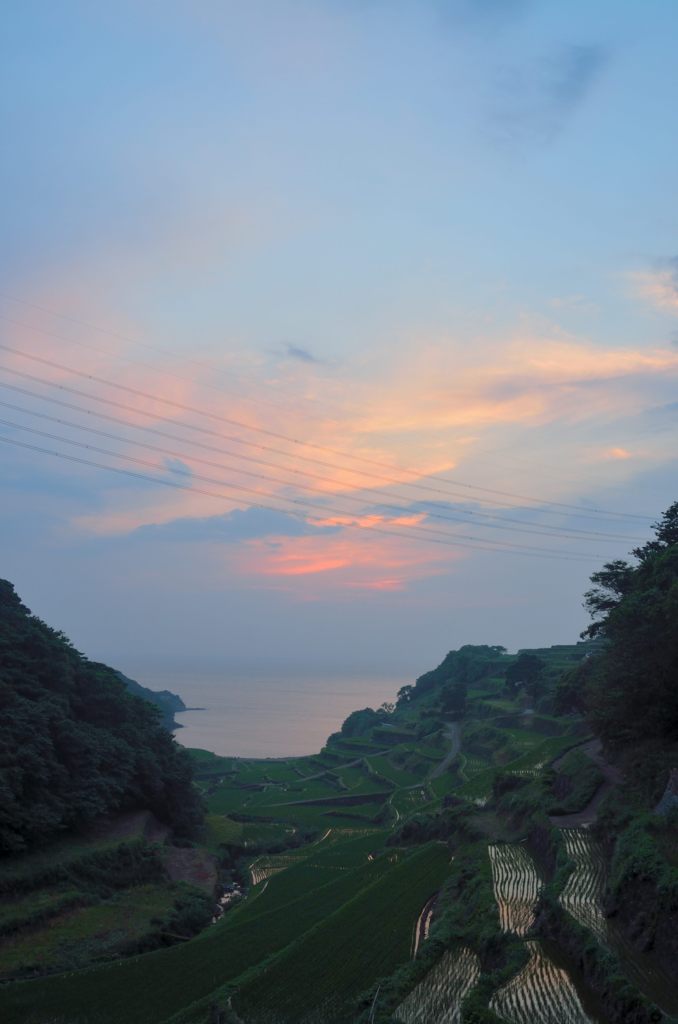 浜の浦の棚田