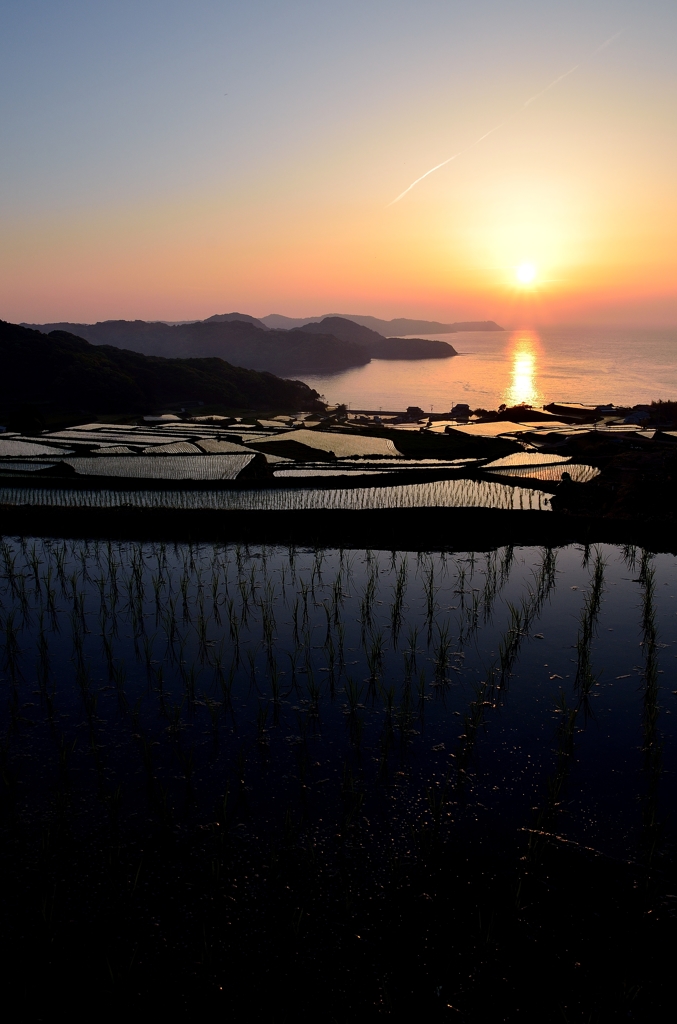 海辺の棚田