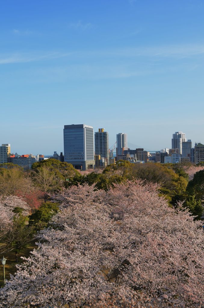 舞鶴公園