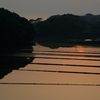 水田と夕陽2