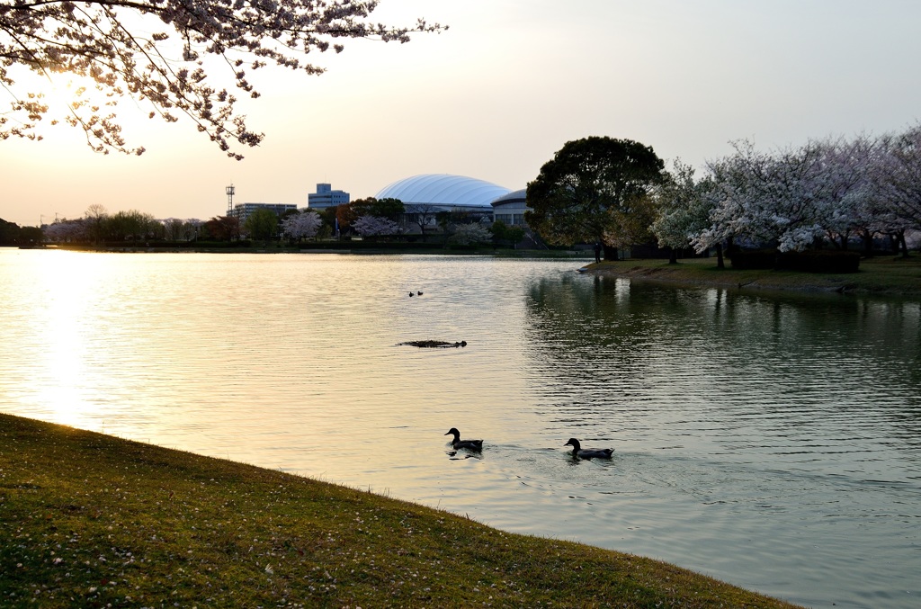 かよいちょう公園