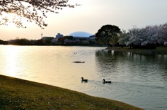 かよいちょう公園