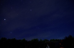 春の夜空に黄昏て