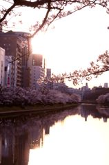 静かな朝
