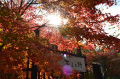タイトルは・・・２