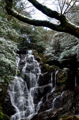 白糸の滝～冬景色