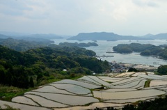 いろは島と棚田