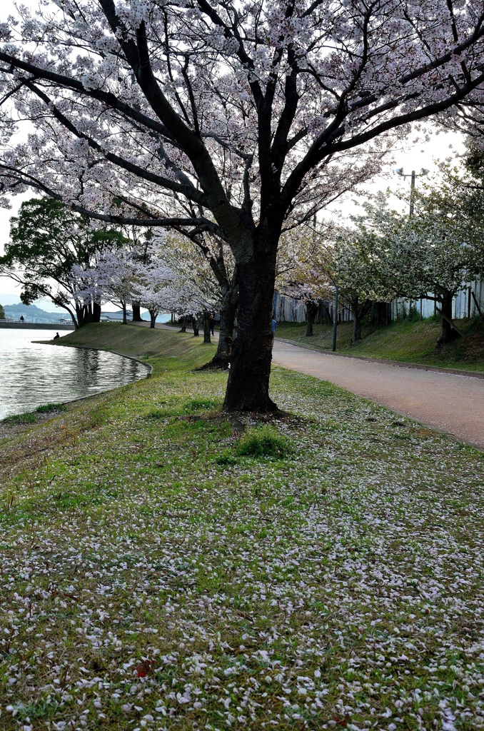 かよいちょう公園