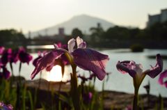 遠くには小富士