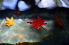 武雄～有田の秋巡り