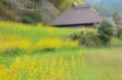 田舎の春模様