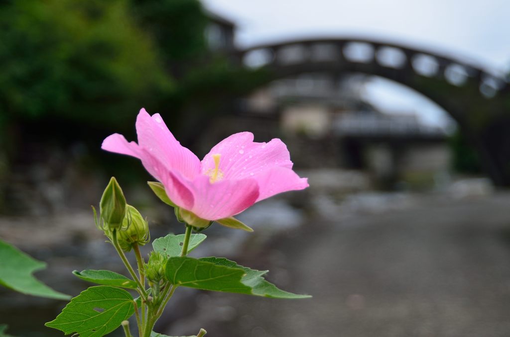 めがね橋