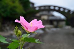 めがね橋