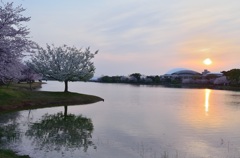 かよいちょう park