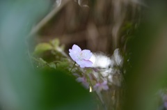 そっと