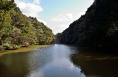 池