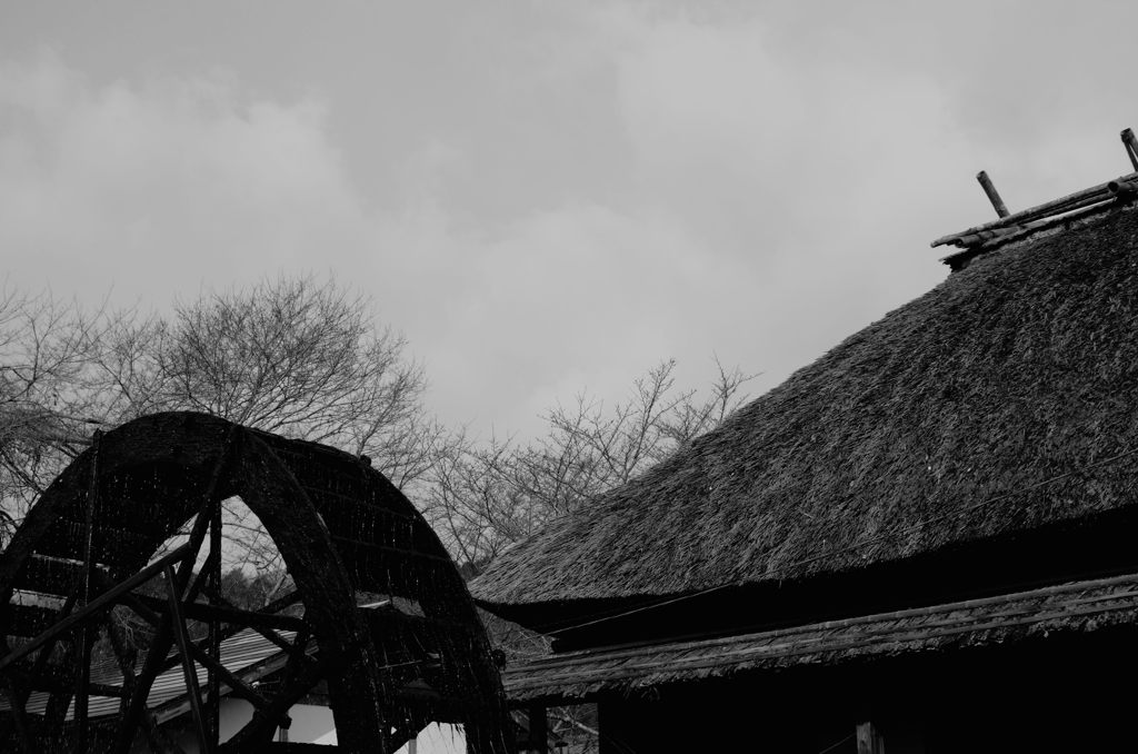 歴史