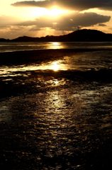 干潟の夕景