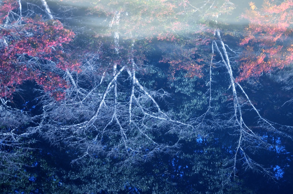 武雄～有田の秋巡り