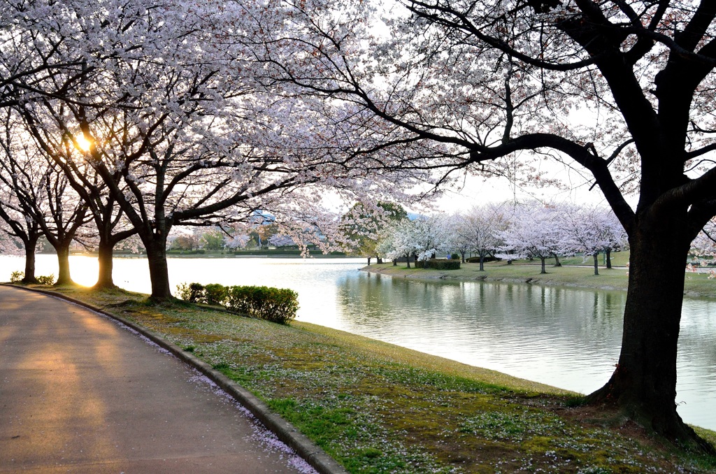 かよいちょう公園