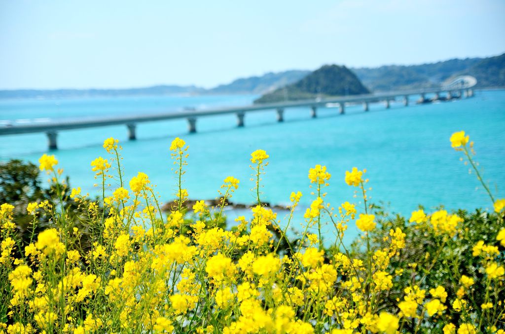 角島大橋