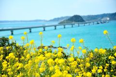 角島大橋