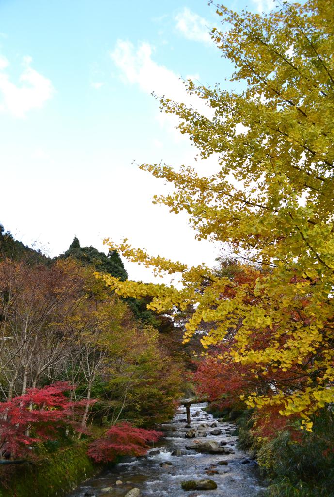 紅葉添田町～小石原～秋月 