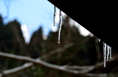 氷柱