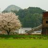 八重桜と給水塔