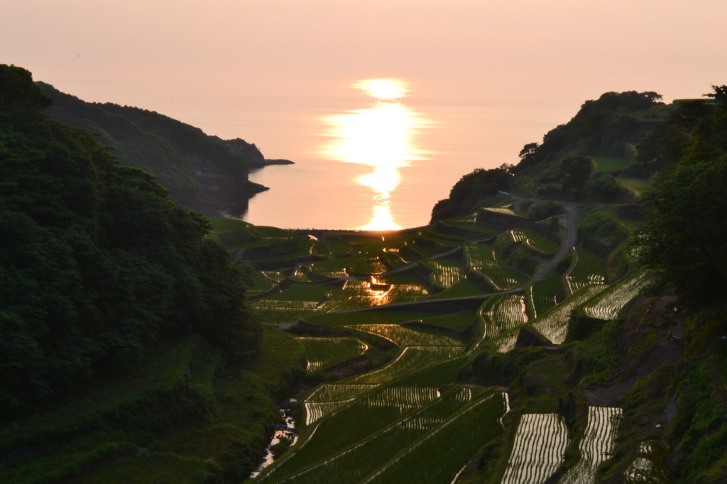 浜野浦の棚田