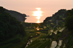 浜野浦の棚田