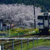 桜とローカル線