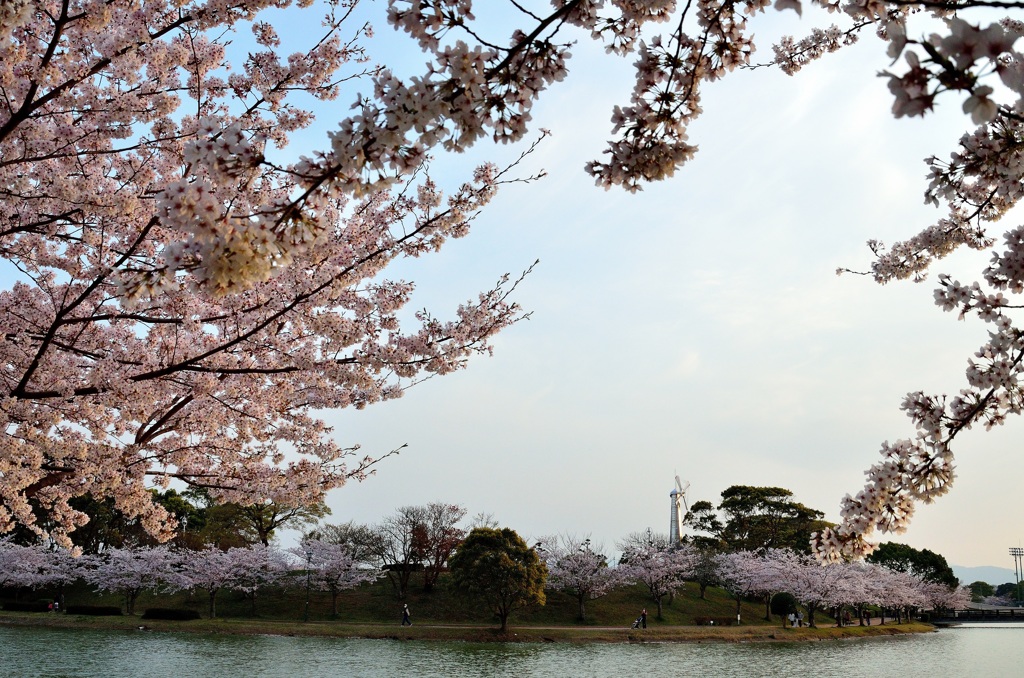 かよいちょう公園