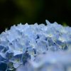一年に一回