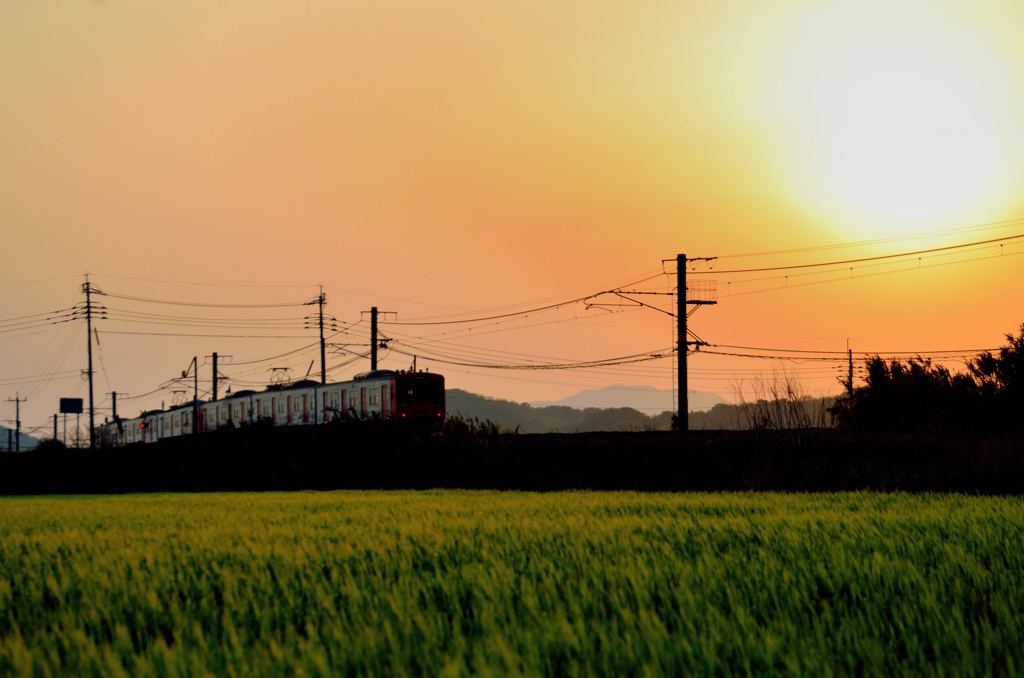 朝陽と電車
