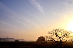 明るい農村