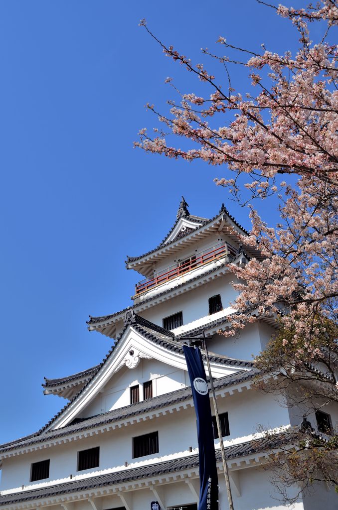 ド～ント唐津城