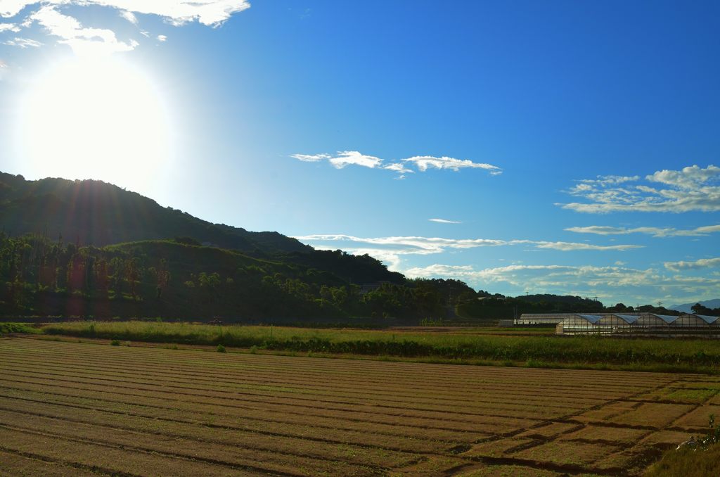 カントリー風景２